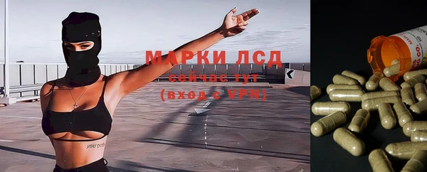 прущая мука Елабуга