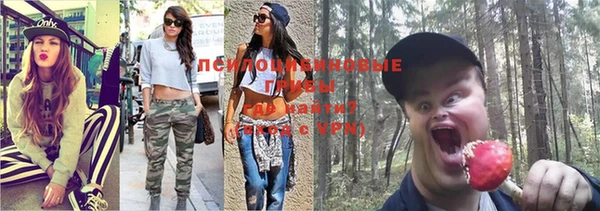 меф Дмитров