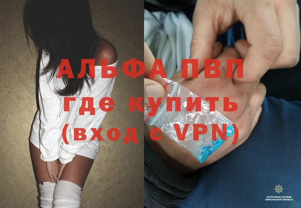 кокс Ельня