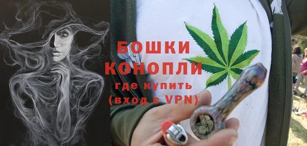 кокс Ельня