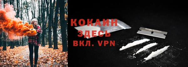 эйфоретик Елизово
