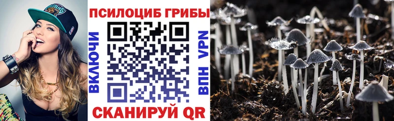 наркота  Вилюйск  Псилоцибиновые грибы мицелий 